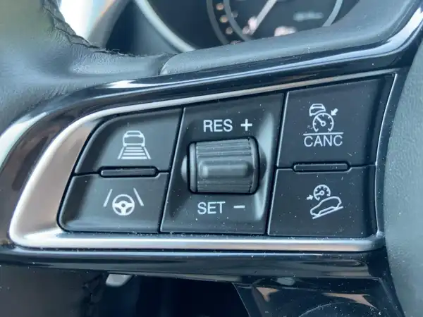 ALFA ROMEO STELVIO LUSSO (14/15)