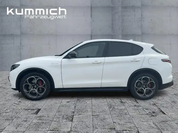 ALFA ROMEO STELVIO VELOCE (6/15)