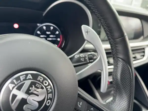ALFA ROMEO STELVIO VELOCE (14/15)