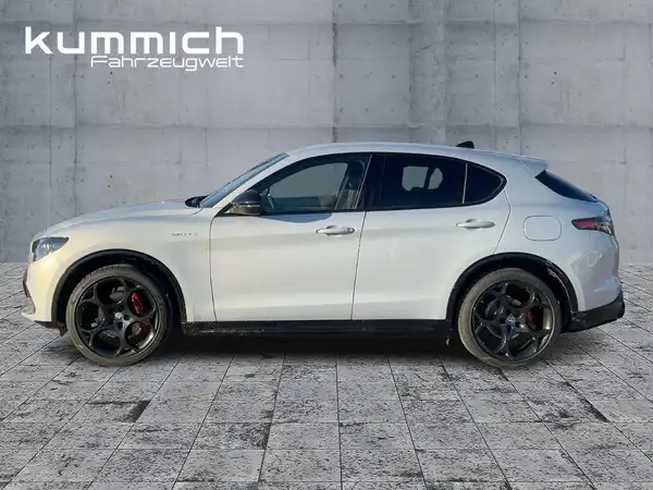 ALFA ROMEO STELVIO VELOCE (6/15)