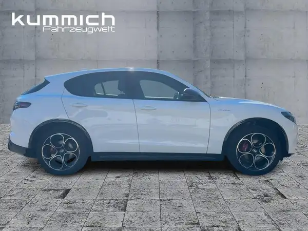 ALFA ROMEO STELVIO VELOCE (3/15)