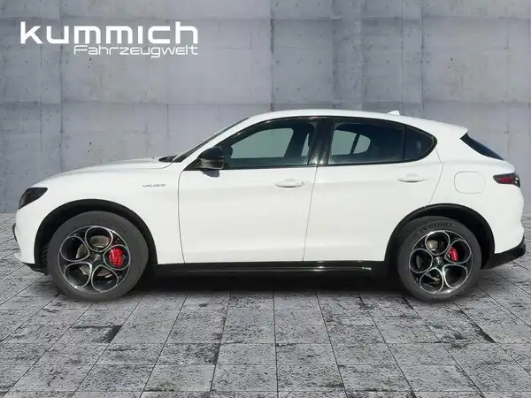 ALFA ROMEO STELVIO VELOCE (6/15)