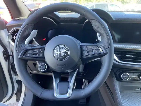 ALFA ROMEO STELVIO VELOCE (10/12)