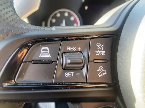 ALFA ROMEO STELVIO VELOCE (14/15)