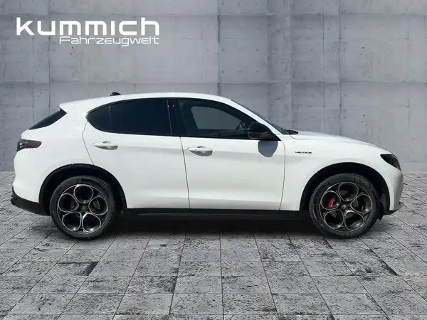 ALFA ROMEO STELVIO VELOCE (3/15)