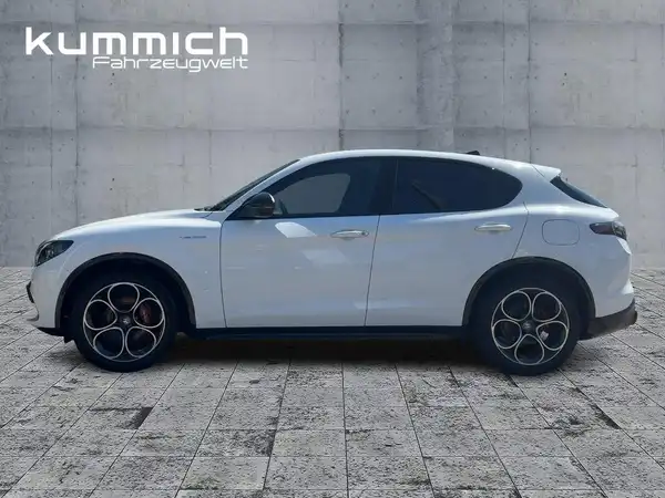 ALFA ROMEO STELVIO VELOCE (6/15)
