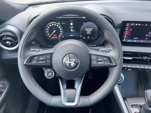 ALFA ROMEO TONALE SUPER (13/15)