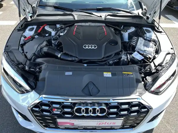 AUDI S5 (21/24)