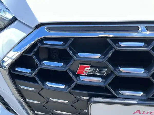 AUDI S5 (22/24)
