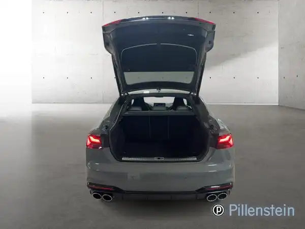 AUDI S5 (15/16)