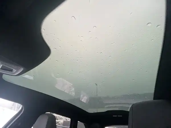 AUDI A6 AVANT E-TRON (20/21)