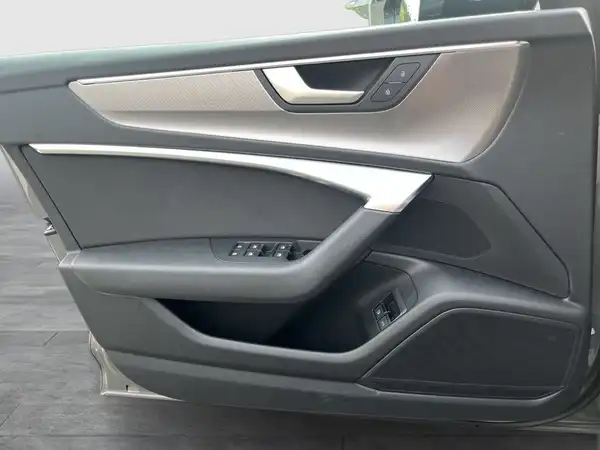 Das Bild zeigt die Innenaufnahme der Fahrertür eines AUDI A6 AVANT in grau.