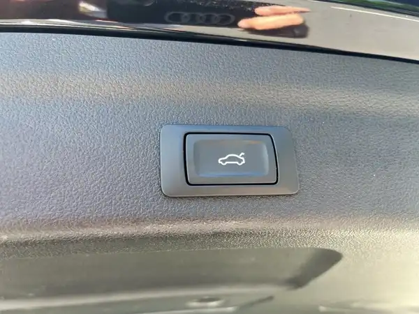 AUDI RS6 AVANT (17/24)