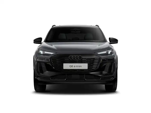 AUDI E-TRON (1/10)