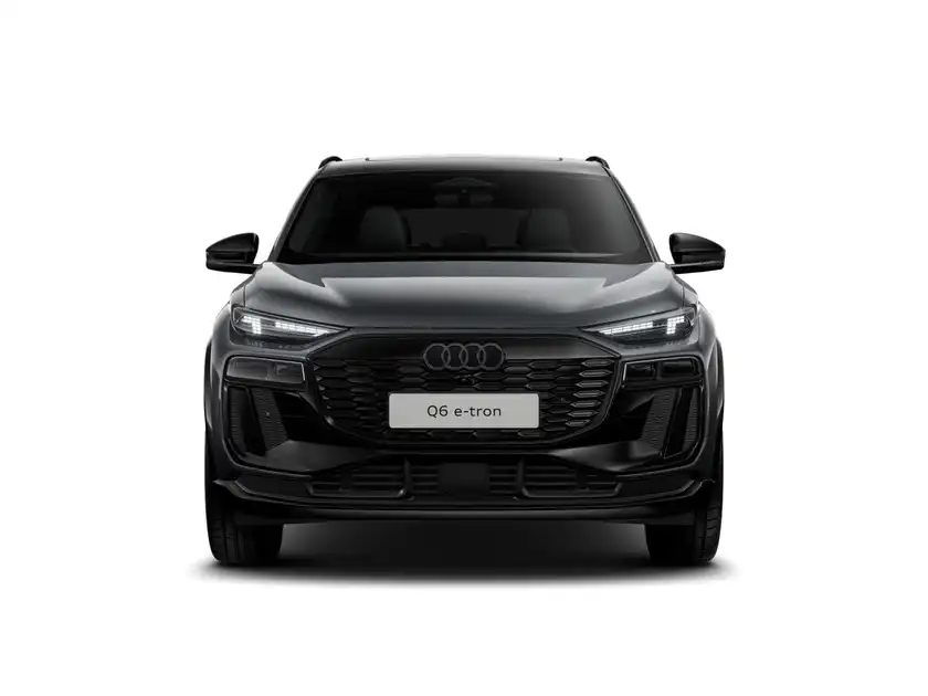 AUDI E-TRON (1/10)
