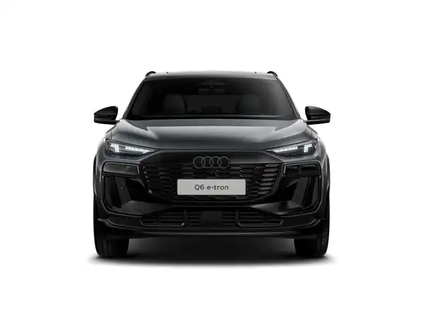 AUDI E-TRON (1/10)