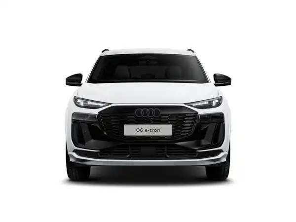 AUDI E-TRON (1/10)
