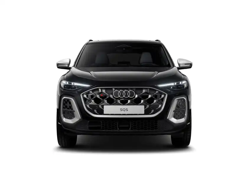 AUDI SQ5 (1/11)