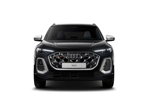 AUDI SQ5 (1/11)