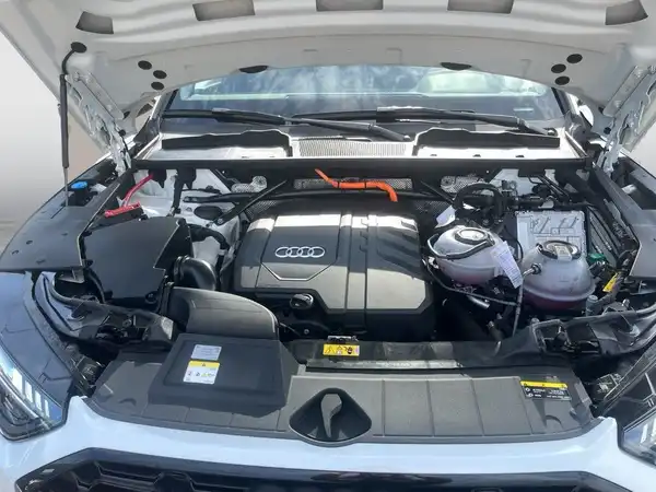 AUDI Q5 (18/21)