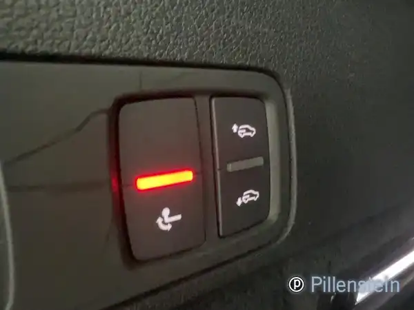 AUDI SQ5 (15/16)