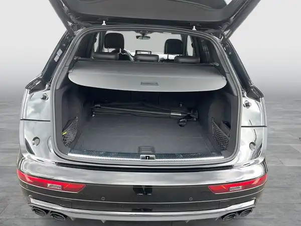 AUDI SQ5 (15/23)