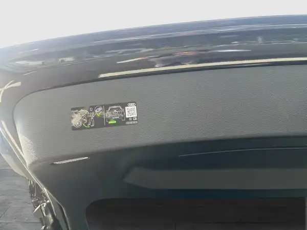 Das Bild zeigt den Innenraum des Fahrzeugs, genauer gesagt eine Ansicht des Armaturenbretts mit einigen Text- und Symbolbeschriftungen.