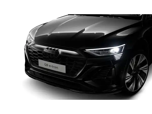 AUDI Q8 (2/13)