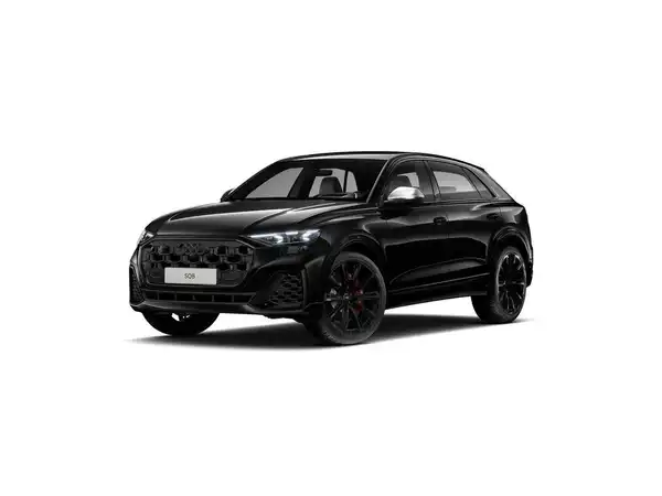 AUDI SQ8 (1/13)
