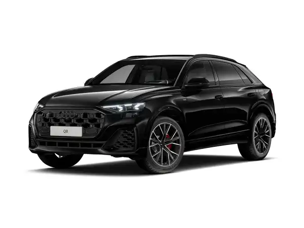 AUDI Q8 (1/13)