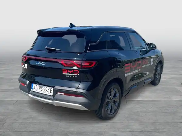 BYD ATTO 2 (6/19)