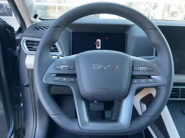 BYD ATTO 2 DM-i Boost (9/15)