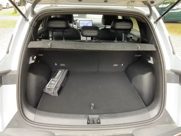 BYD ATTO 2 DM-i Boost (13/15)