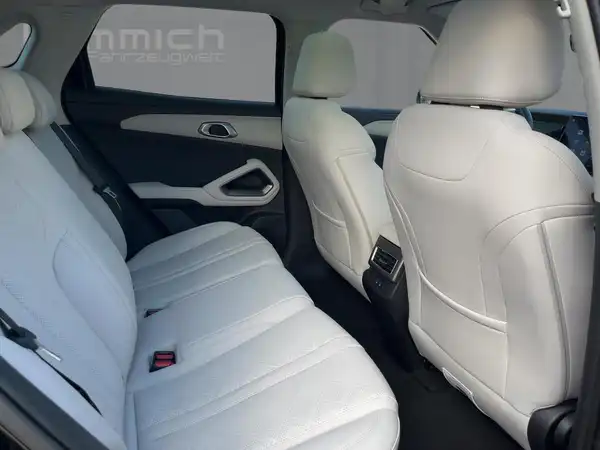 BYD Atto 2 DM-i Boost (12/15)