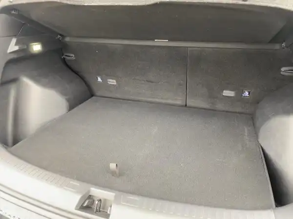 BYD ATTO 2 DM-i Boost (13/15)