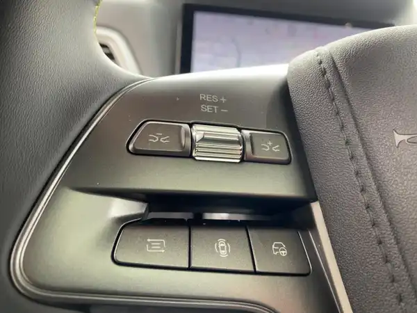 BYD ATTO 2 DM-i Boost (14/15)