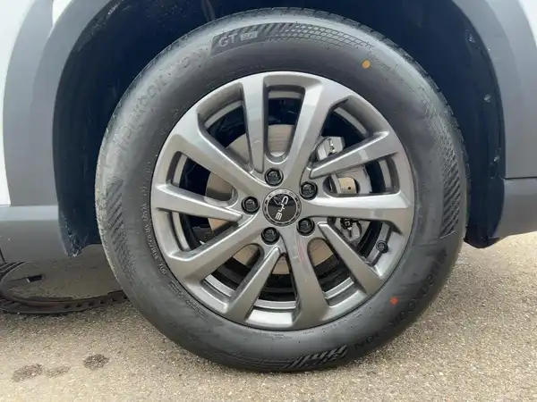 BYD ATTO 2 DM-i Boost (7/15)