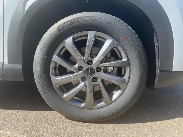 BYD ATTO 2 DM-i Boost (7/15)