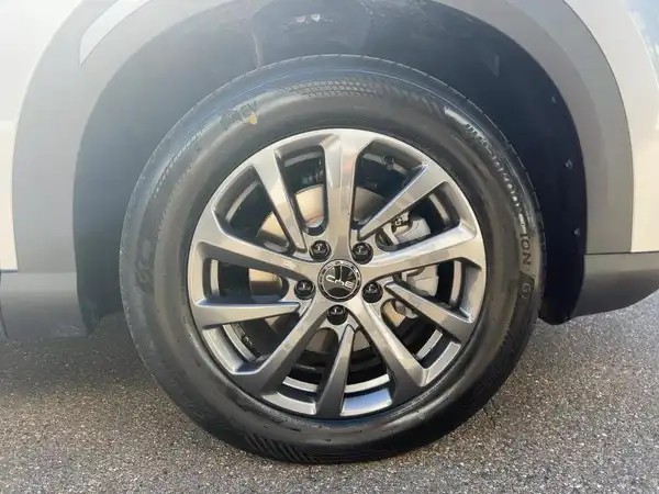 BYD ATTO 2 DM-i Boost (7/15)