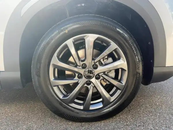 BYD ATTO 2 DM-i Boost (7/15)