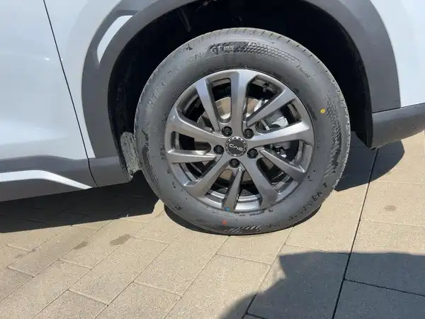 BYD ATTO 2 DM-i Boost Plug-In-Hybrid (7/15)