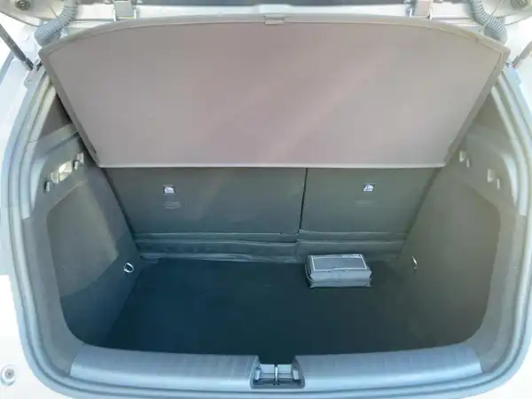 BYD DOLPHIN G DM-i Comfort (13/15)
