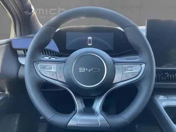 BYD DOLPHIN G DM-i Comfort (9/15)