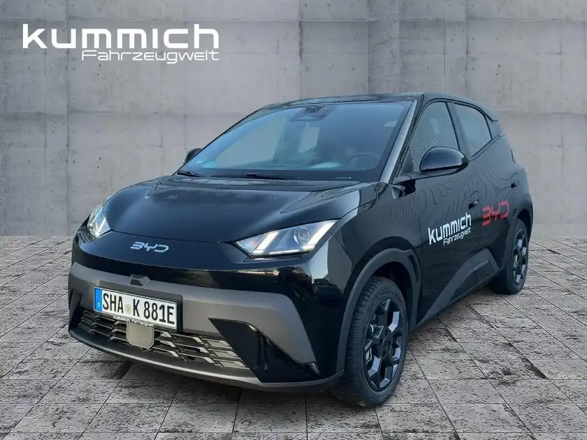 BYD DOLPHIN SURF Boost (1/16)