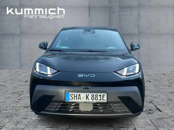 BYD DOLPHIN SURF Boost (2/15)