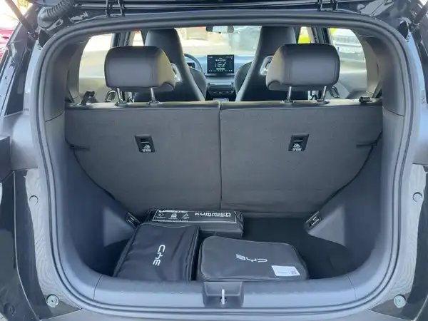 BYD DOLPHIN SURF Boost (13/15)