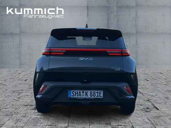 BYD DOLPHIN SURF Boost (5/15)