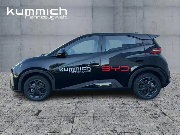 BYD DOLPHIN SURF Boost (6/15)