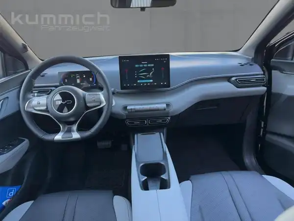 BYD DOLPHIN SURF Boost (8/15)