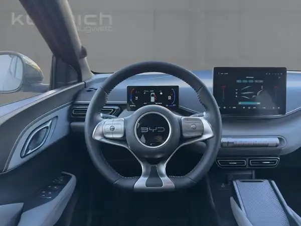 BYD DOLPHIN SURF Boost (9/15)